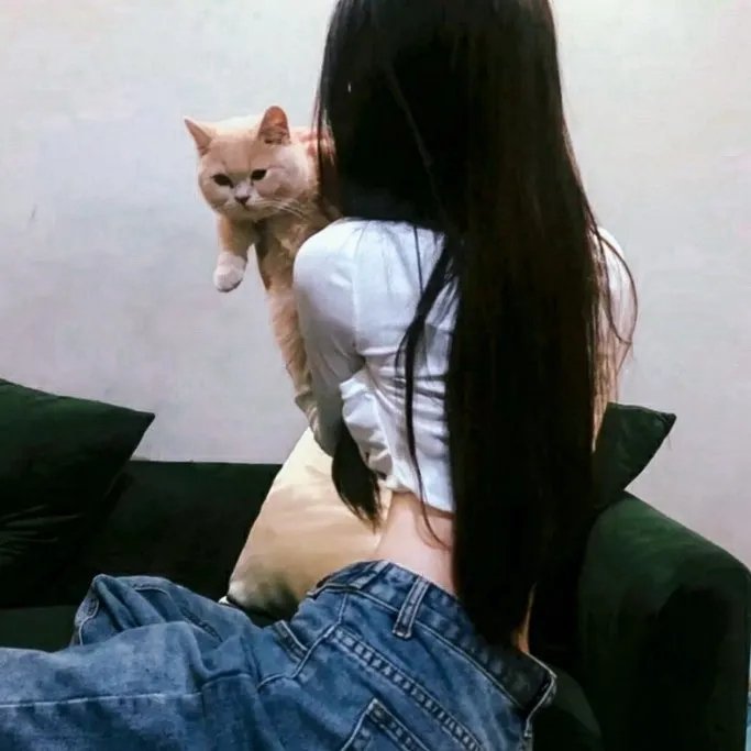 给自己的情歌